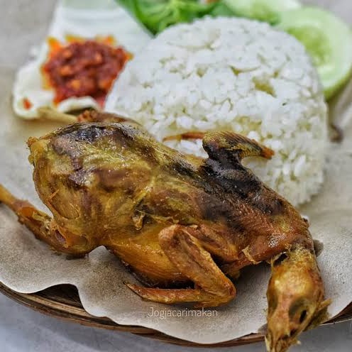 Lalapan Merpati