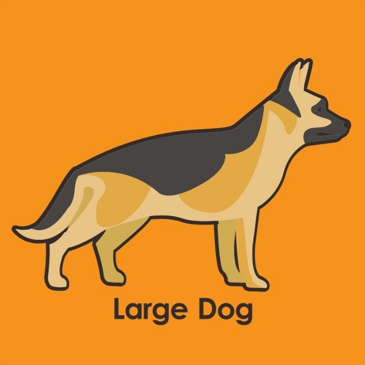 Large Dog 