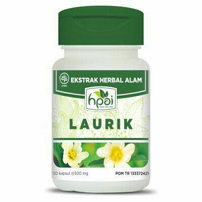 Laurik Untuk asam urat nyeri sendi dll