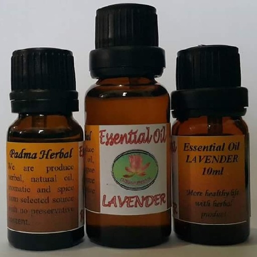 Lavender Essential Oil