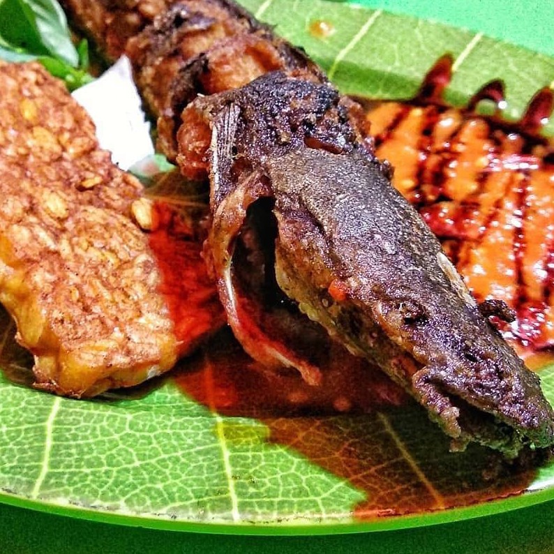 Lele Bakar