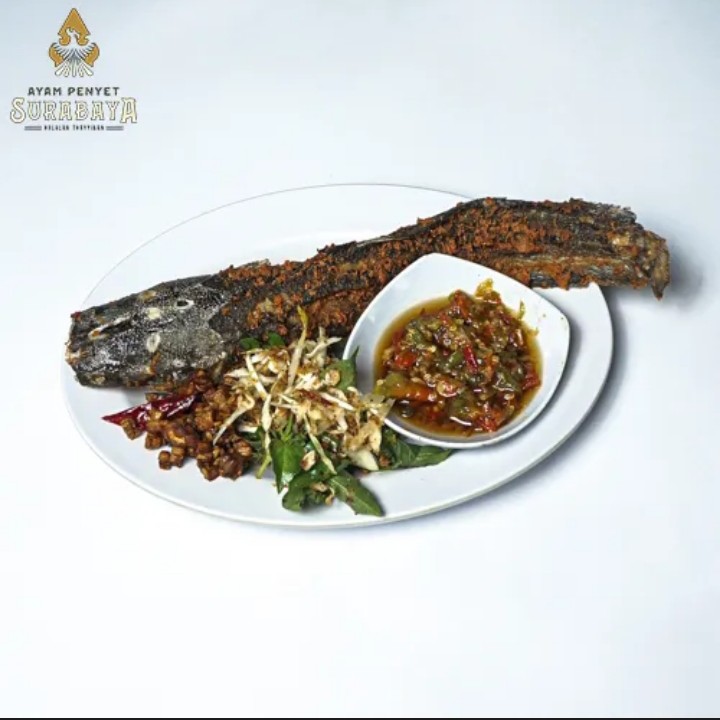 Lele Bakar Atau Di Goreng Dan Di Penyet