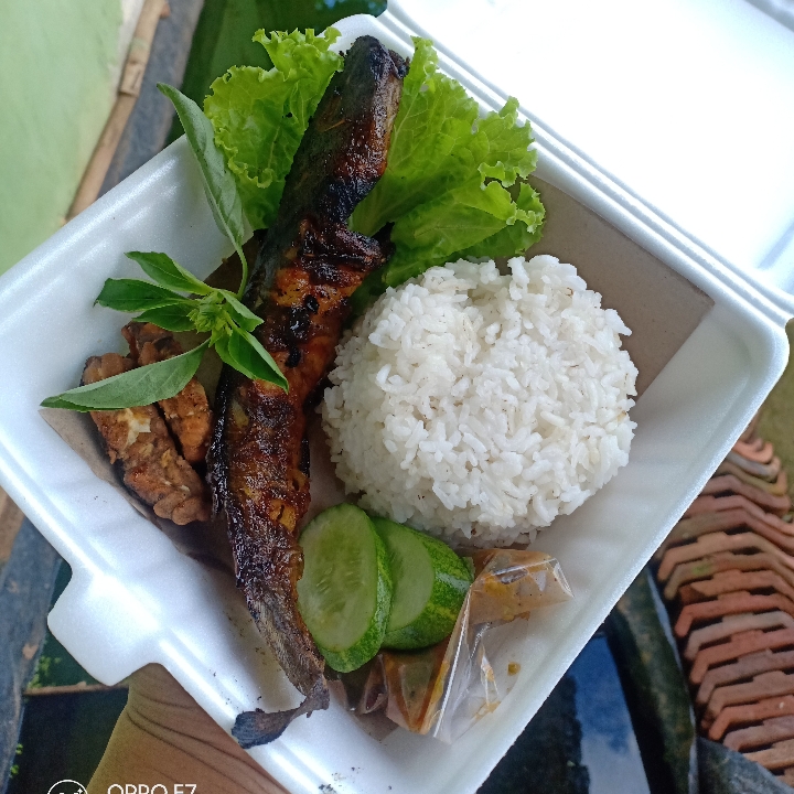 Lele Bakar Dan Nasi