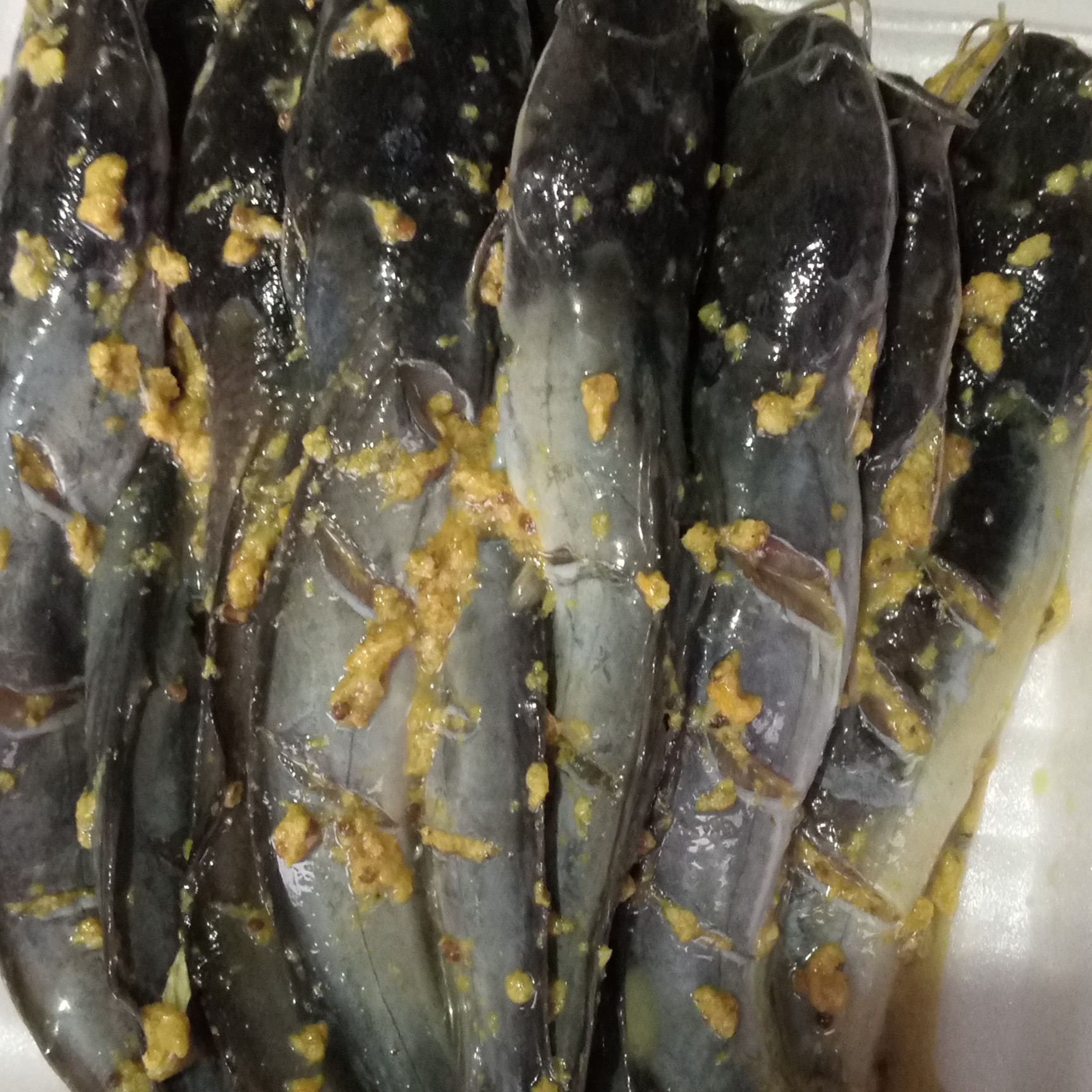 Lele Bumbu 1kg