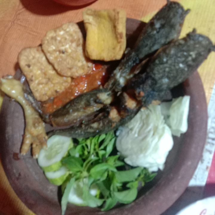 Paket 2 Lele Goreng