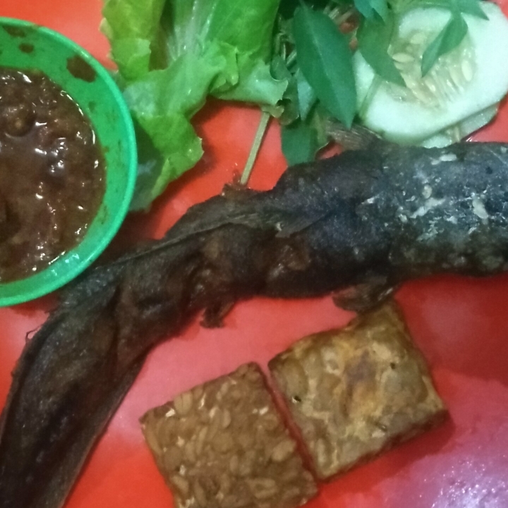 Lele Goreng