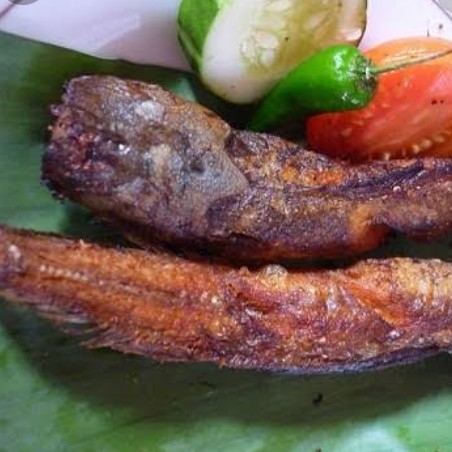 Lele Goreng