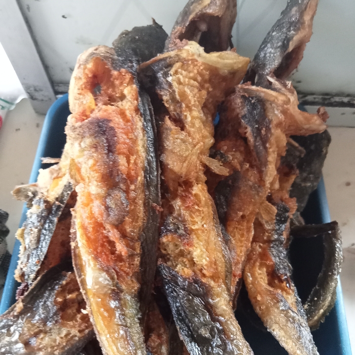 Lele Goreng