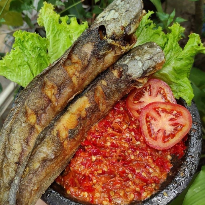 Lele Goreng Tanpa Nasi