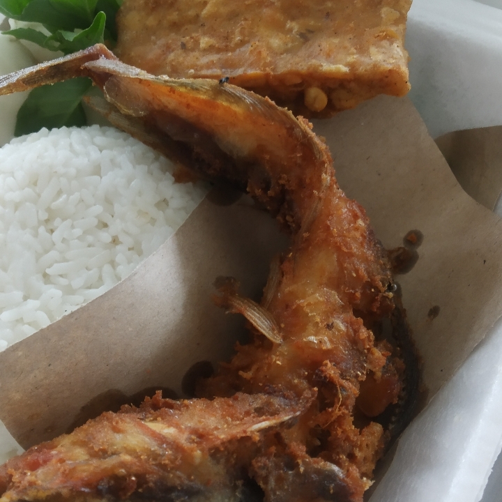 Lele Goreng Atau Bakar