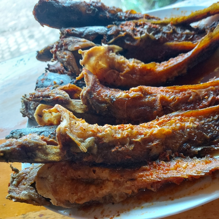 Lele Goreng Dg Nasi