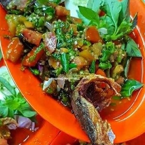 Lele Goreng Nasi