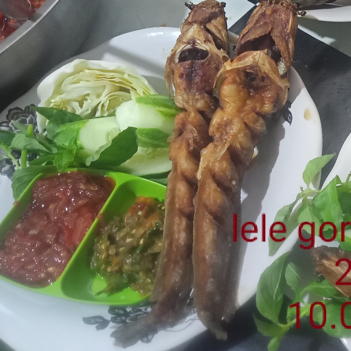 Lele Goreng Pakai Nasi