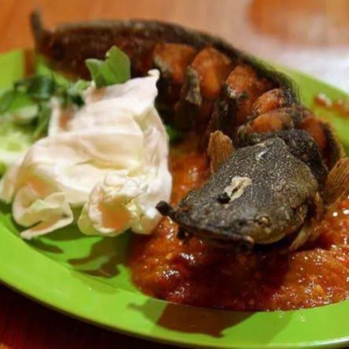 Lele Goreng Tanpa Nasi