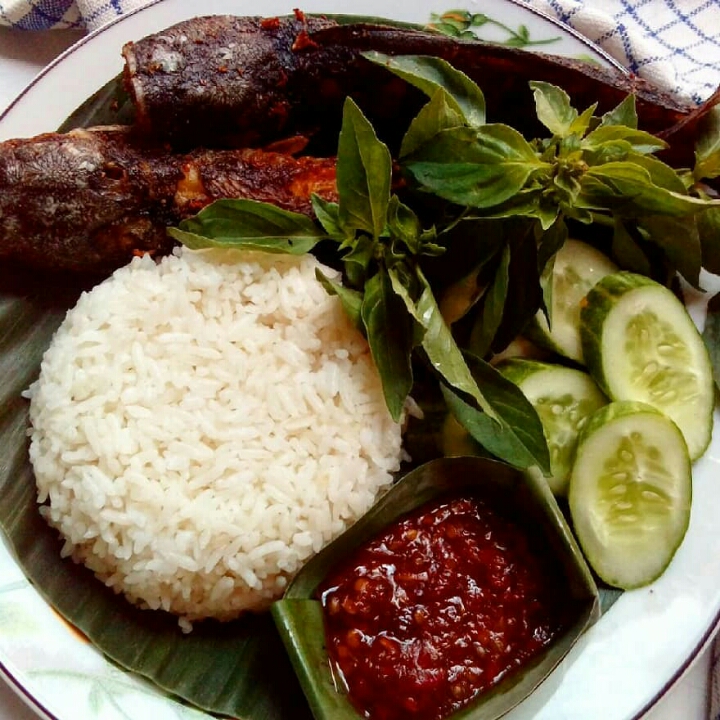 Lele Goreng Tanpa Nasi