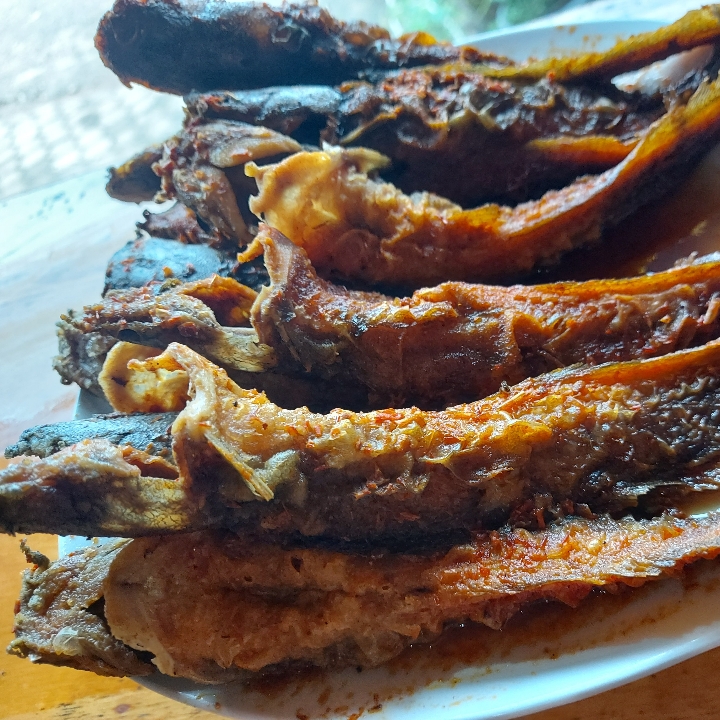 Lele Goreng Tanpa Nasi