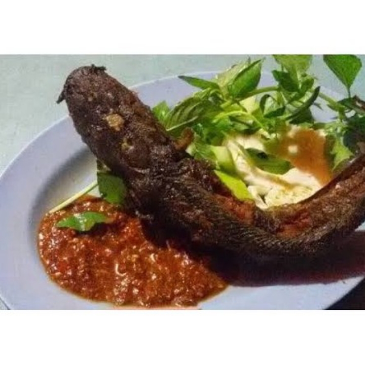 Lele Goreng Tanpa Nasi