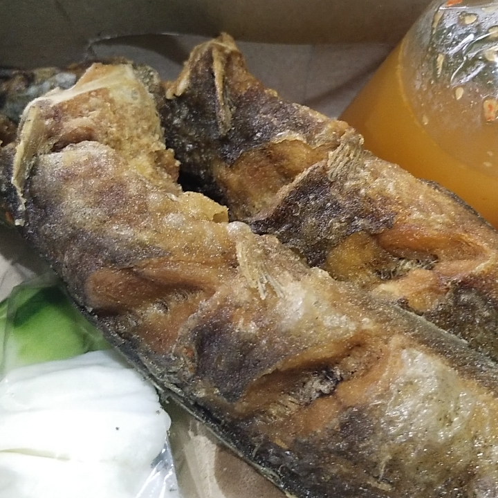 Lele Goreng Tanpa Nasi