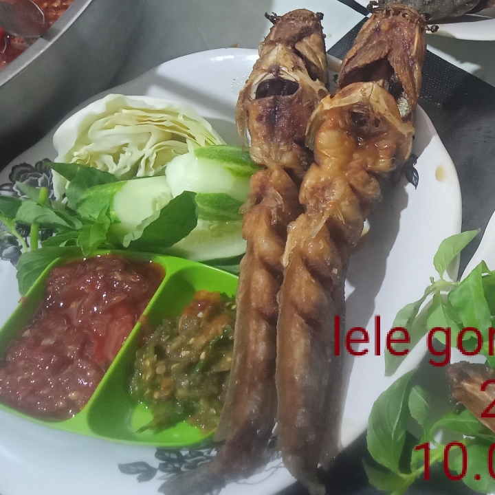 Lele Goreng Tanpa Nasi