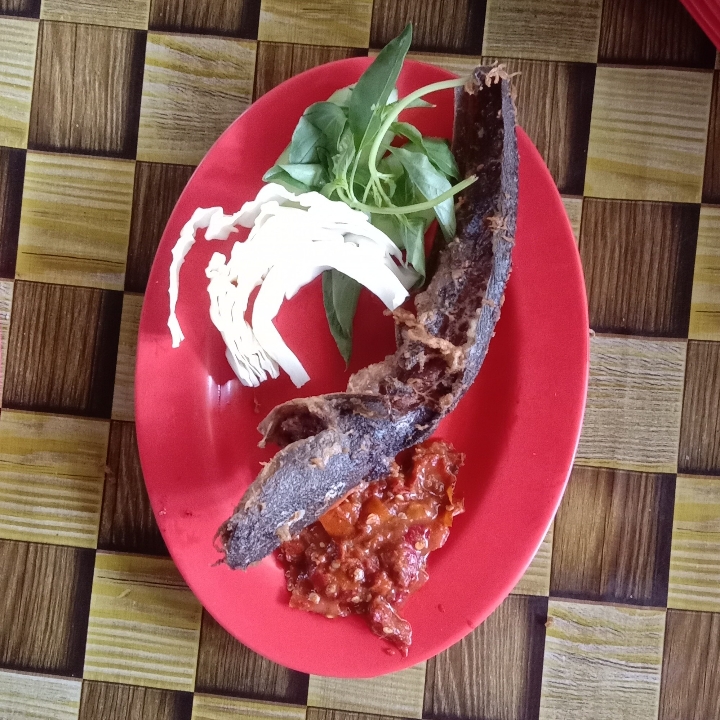 Lele Paket Komplit