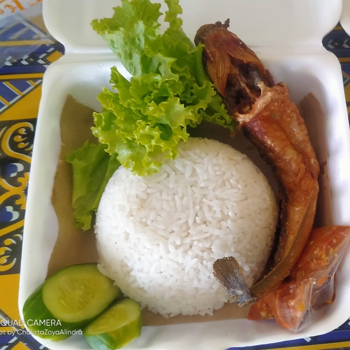 Lele Plus Tempe Goreng