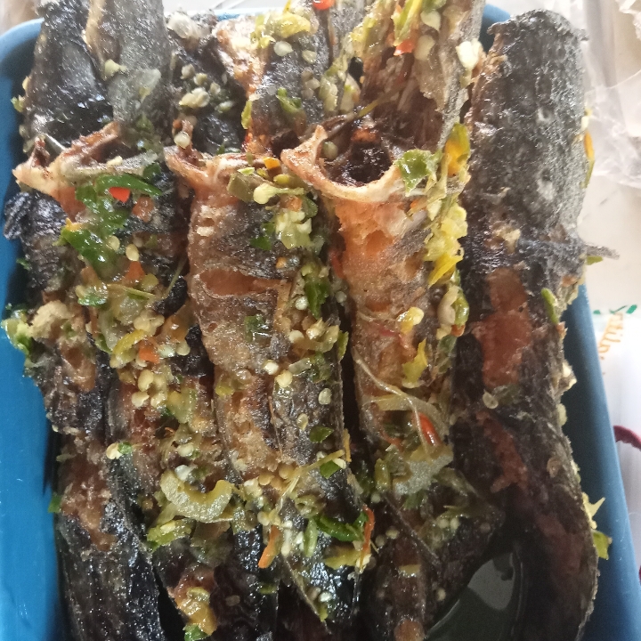 Lele Sambel