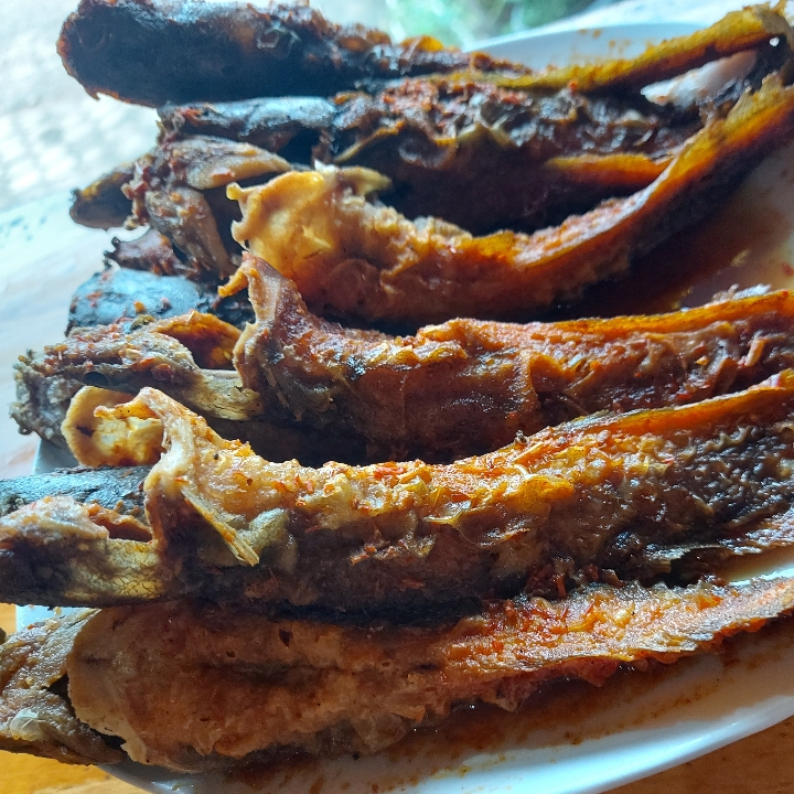 Lele Sambel Dg Nasi