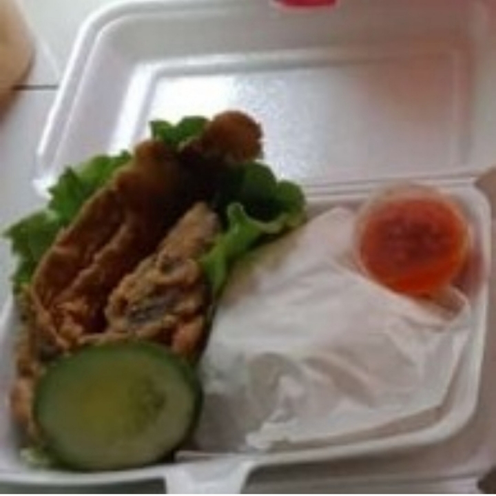 Lele Terbang