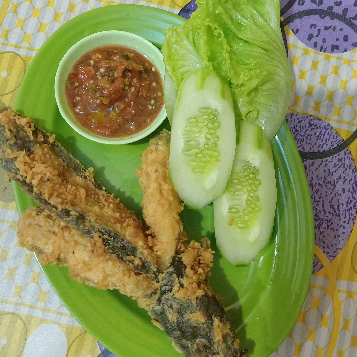 Lele Terbang Tanpa Nasi