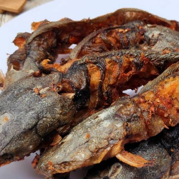 Lele goreng