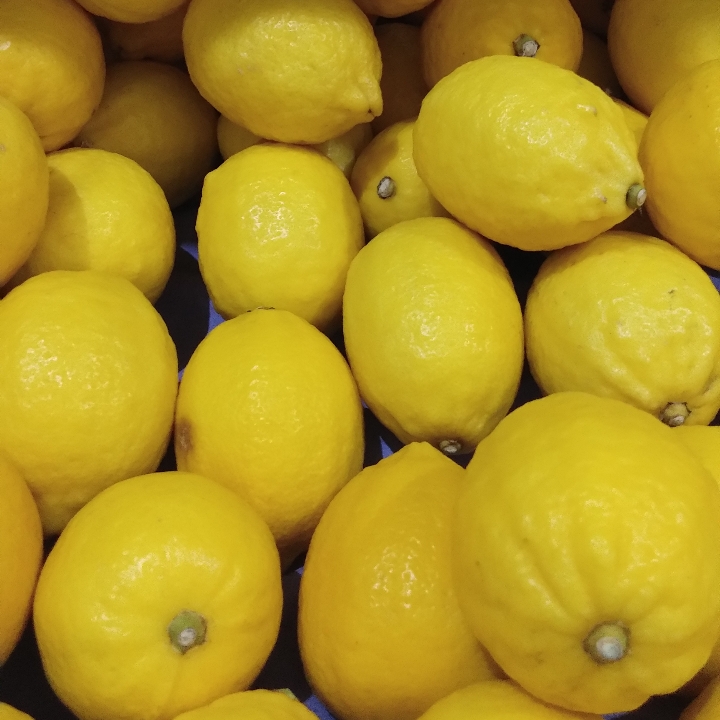 Lemon