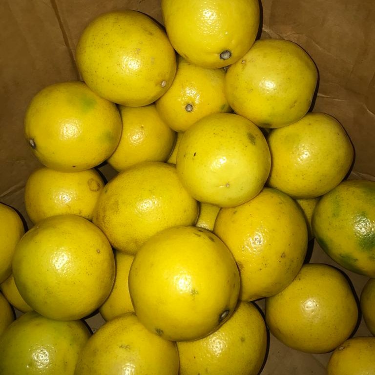 Lemon 500 gr 3