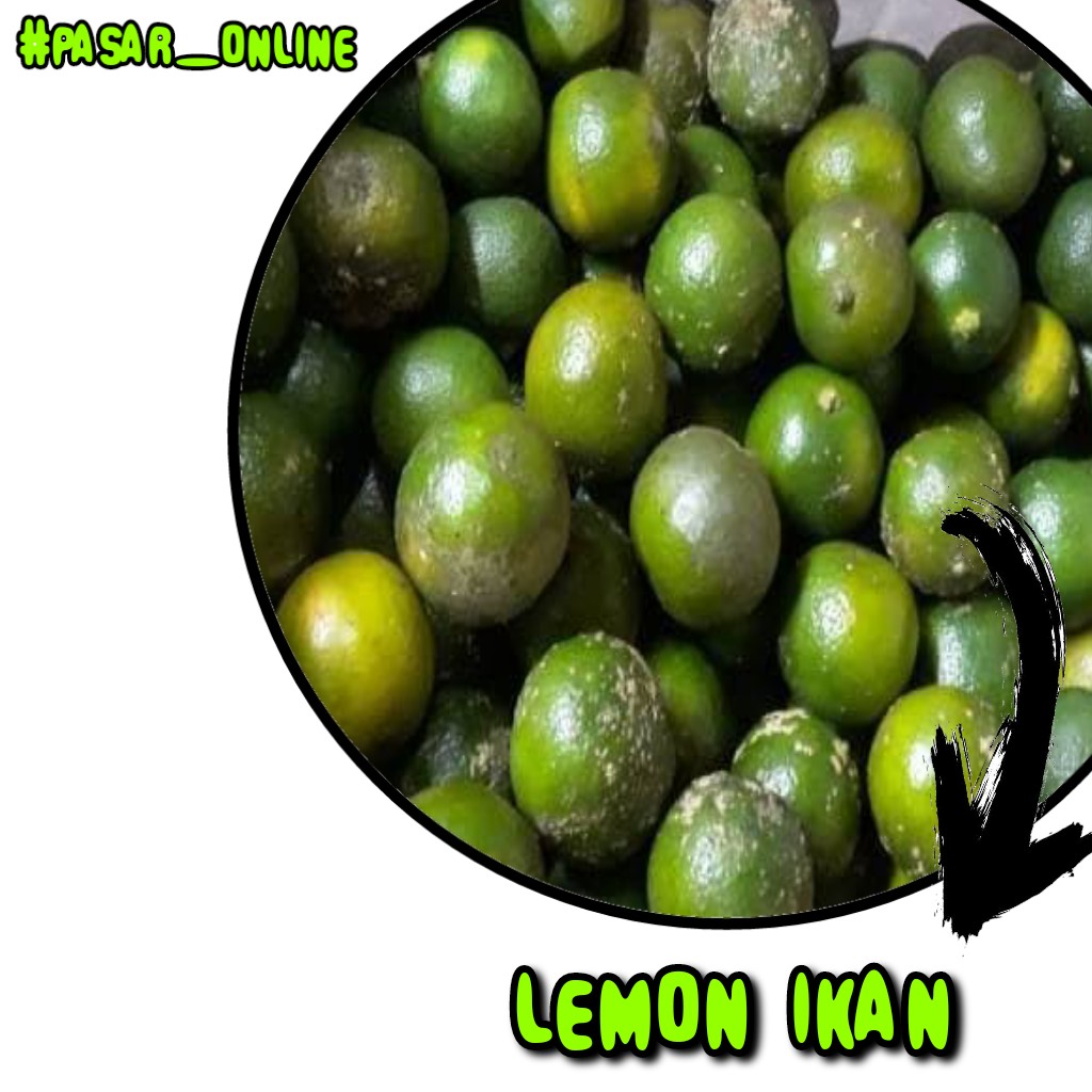 Lemon Ikan