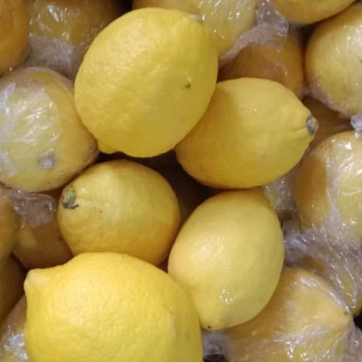 Lemon Impor Per Kg