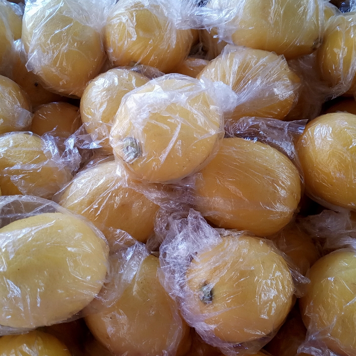 Lemon Import 