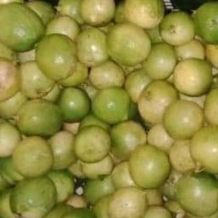 Lemon Lokal