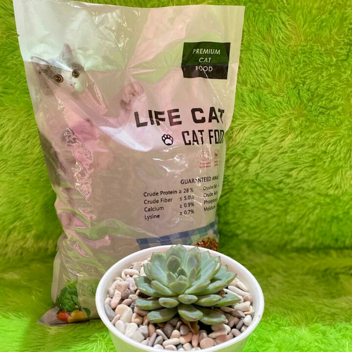 Life Cat 1 Kg