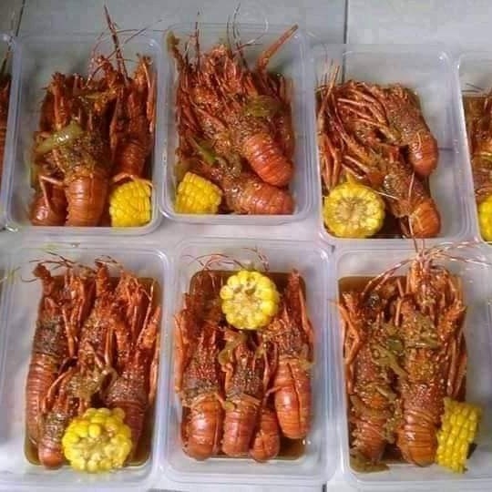 Lobster