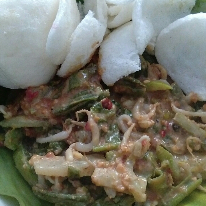 Lotek 3