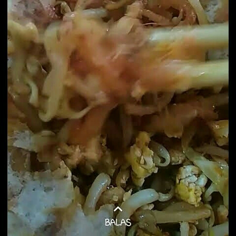 Lumpia Basah Special 3