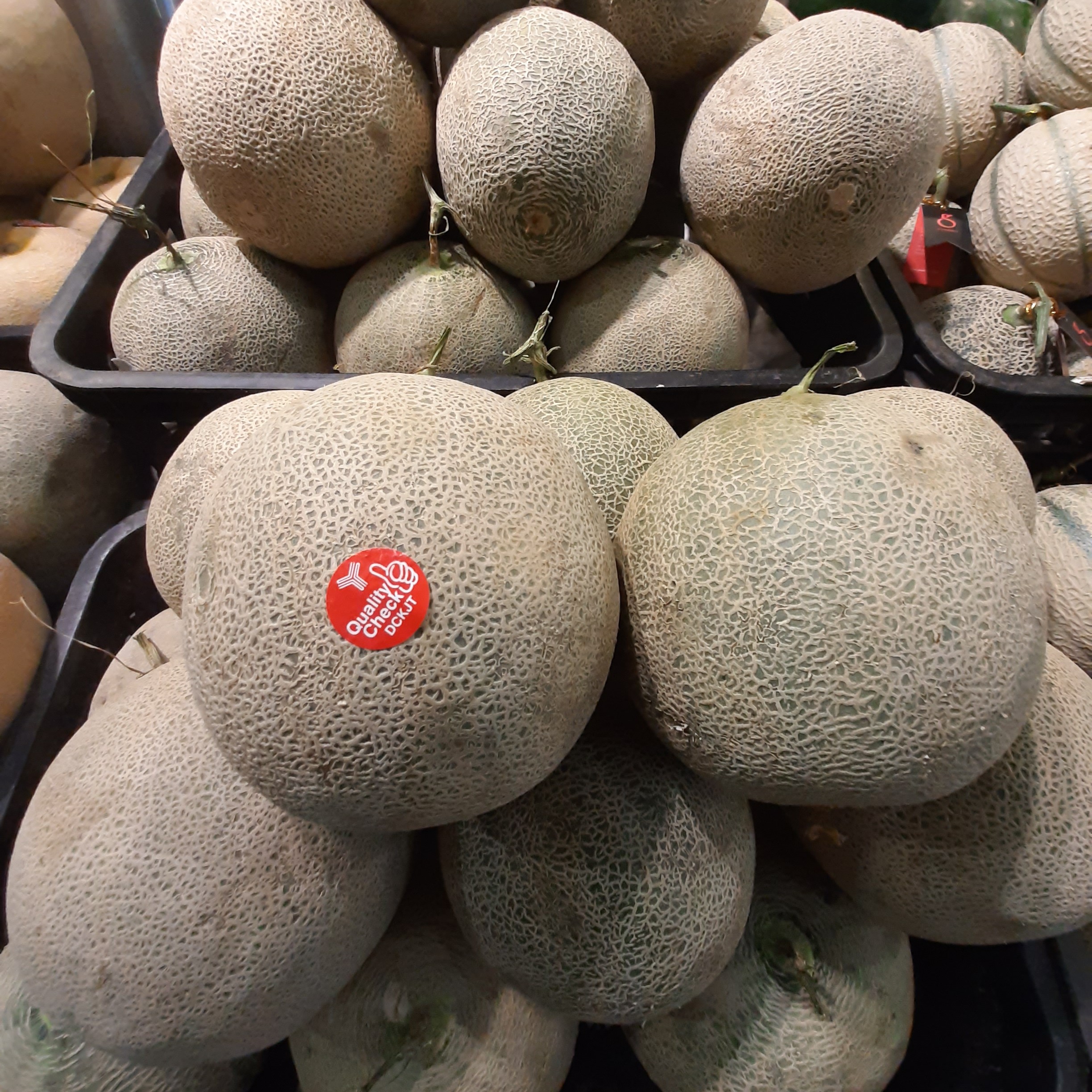 MELON 2KG 2