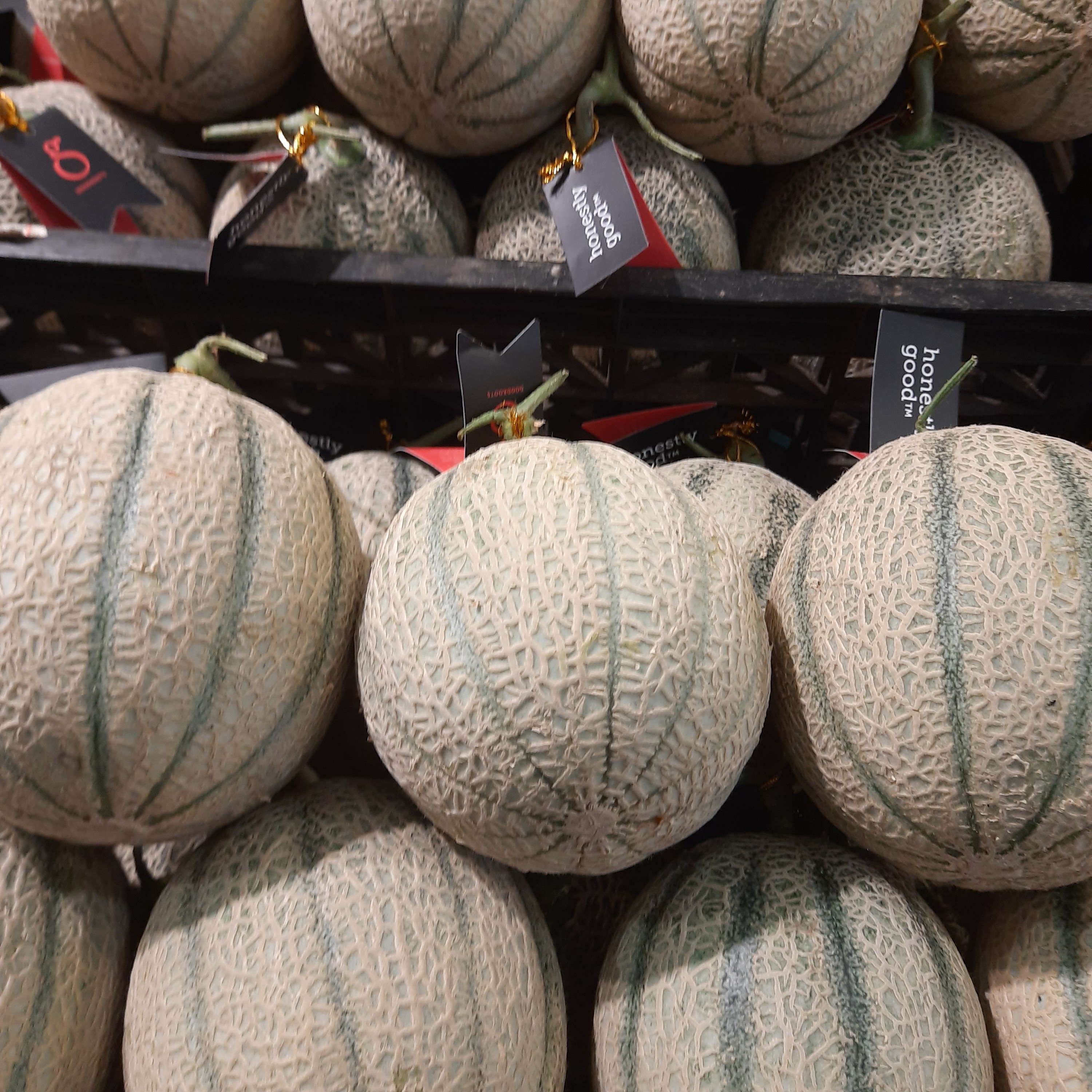 MELON GOLDEN 2KG 2
