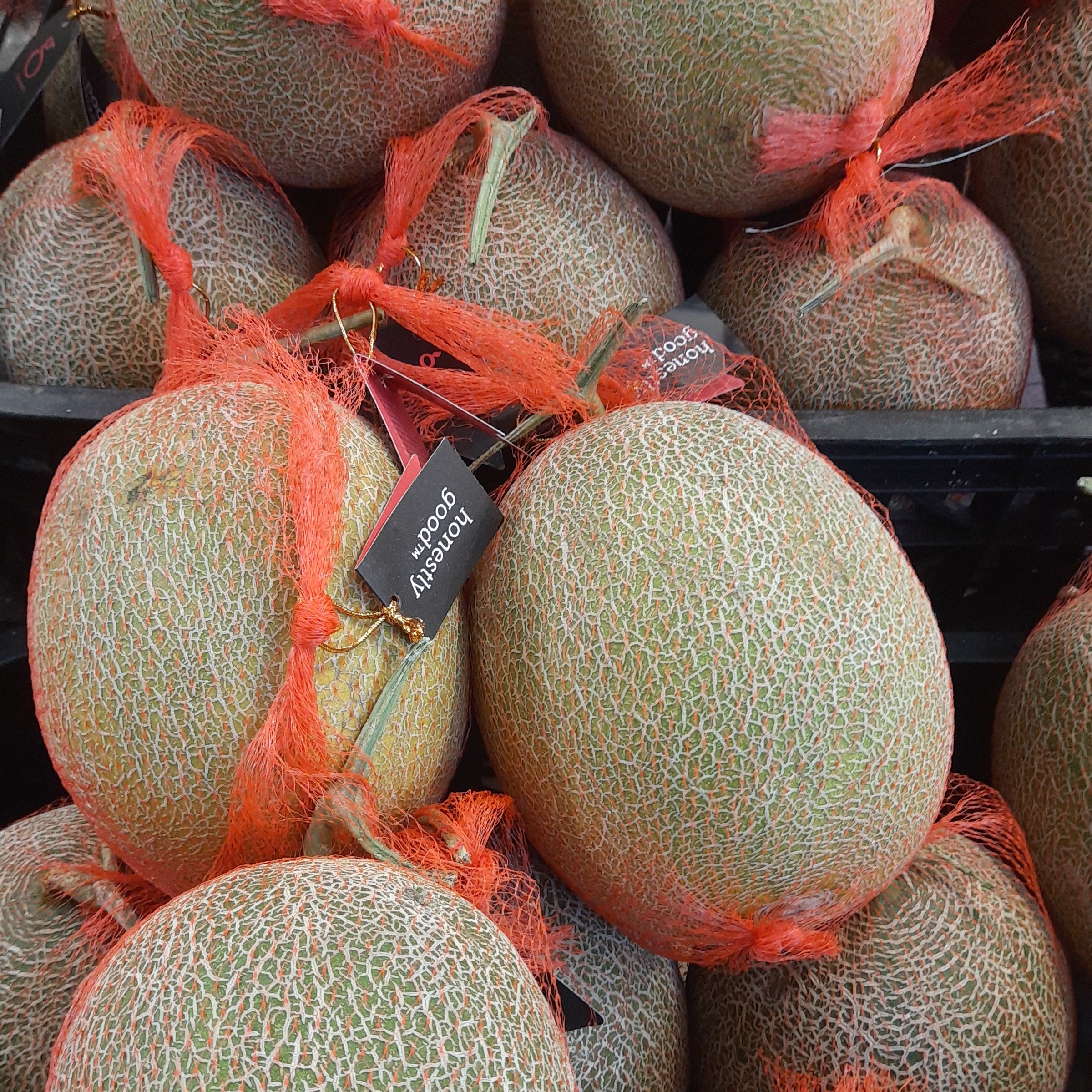 MELON GOLDEN LADIKA 2KG 2