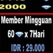 MEMBER MINGGUAN