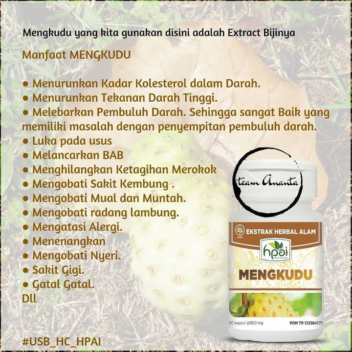 MENGKUDU