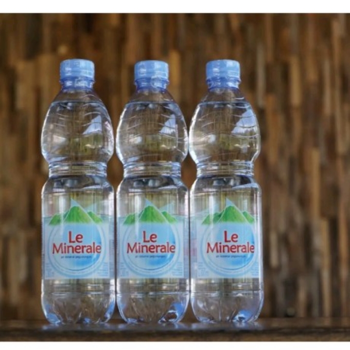 MINERAL 600 ML