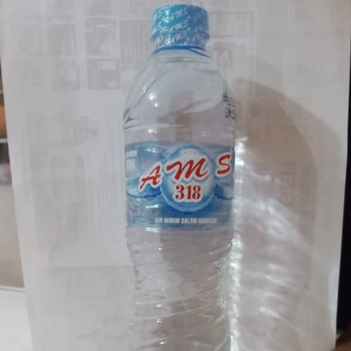 MINERAL AMS 600 ML