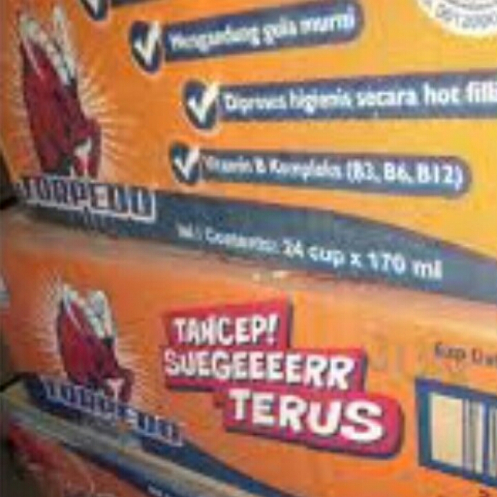 MINUMAN TORPEDO ISI 24 PCS