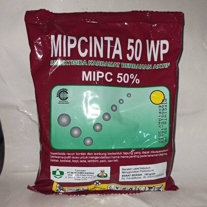 MIPCINTA 50 WP 100 GR