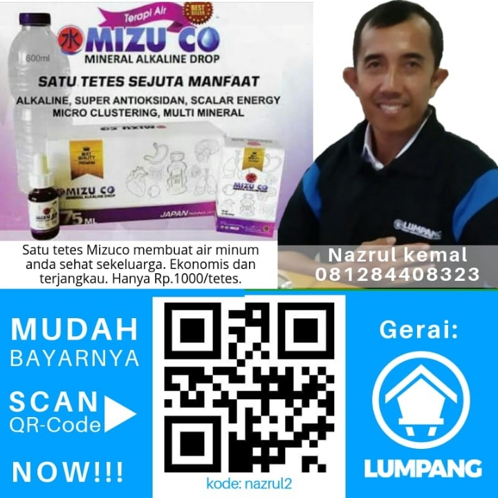 BISNIS MIZU CO